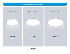 Светильник Ambrella Light ORBITAL FZ1710 5