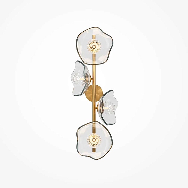 Бра Maytoni Miracle MOD207WL-04BS Фото № 1