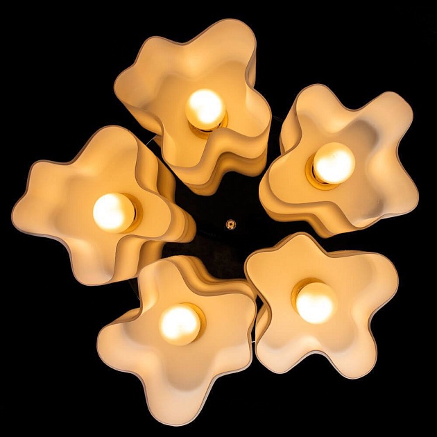 Потолочная люстра Arte Lamp 18 A3479PL-5CC Фото № 2