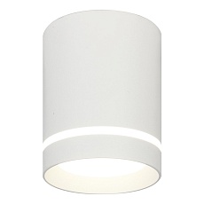 Потолочный светодиодный светильник Escada 20009SMU/01LED SWH