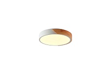 Потолочный светильник Zortes ALBERRO ZRS.01239.90 1