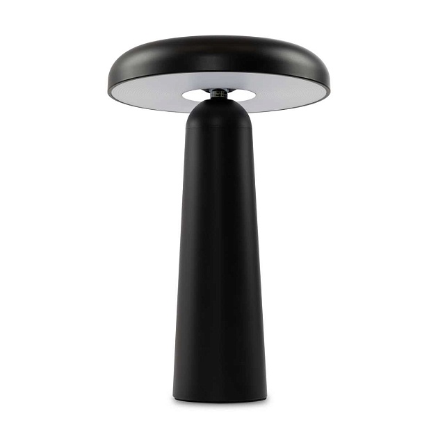 Аккумуляторный светильник Freya FR6109TL-L4B Фото № 3