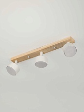 Спот Rivoli Vivian 7078-703 Б0069929 1