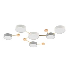 Потолочный светильник Evoluce DOSSENA SLE600102-06 3