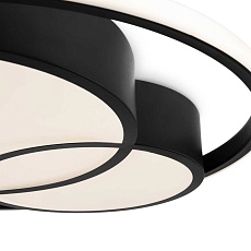 Потолочный светильник Freya FR10029CL-L70B 4