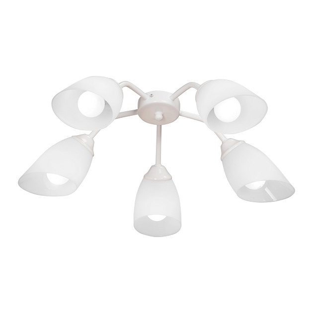 Потолочная люстра Vitaluce V31950/5PL Фото № 1