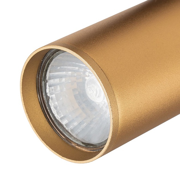 Трековый светильник Escada 20001TRA/01 BR изображение 2 Трековый светильник Escada 20001TRA/01 BR Фото № 2