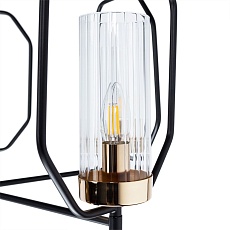 Подвесная люстра Arte Lamp Celaeno A7004PL-5BK 1