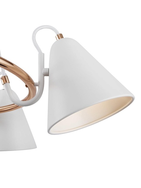 Люстра Freya FR8001PL-05WG Фото № 8