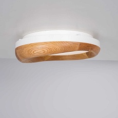 Потолочный светодиодный светильник Imperium Loft Runis 140974-26 2