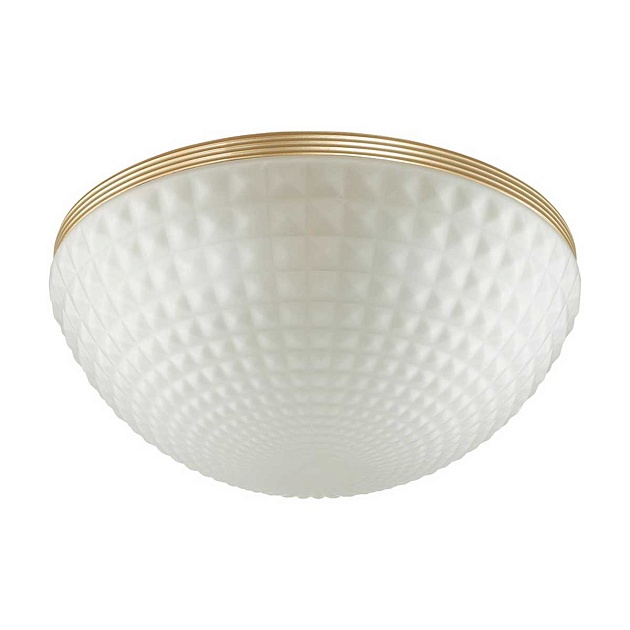Потолочный светильник Odeon Light Modern Malaga 4936/4C Фото № 1