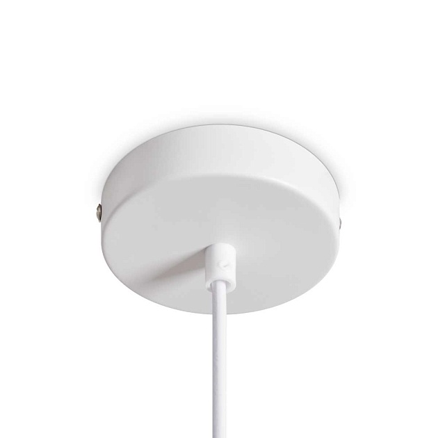 Подвесной светильник Freya Modern FR5530PL-L12W Фото № 5