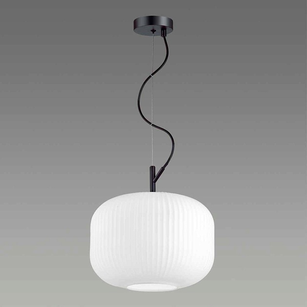 Подвесной светильник Odeon Light Pendant Roofi 4754/1 ⚡ — купить с ...