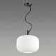 Подвесной светильник Odeon Light Pendant Roofi 4754/1 ⚡ — купить с ...