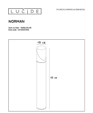 Уличный светильник Lucide Norman 15806/65/30 1