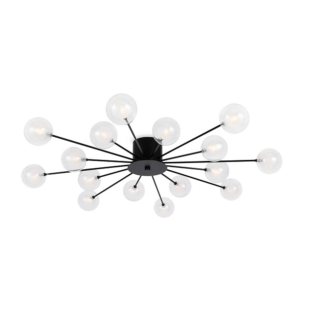 Потолочная люстра Freya Celebrity FR5242CL-16B1 изображение 1 Потолочная люстра Freya Celebrity FR5242CL-16B1 Фото № 1