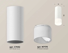 Комплект накладного светильника Ambrella light Techno Spot XS7442016 SWH/FR белый песок/белый матовый (C7442, N7170) 2