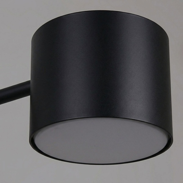 Потолочная люстра Reluce 47206-0.3-06BK Фото № 3