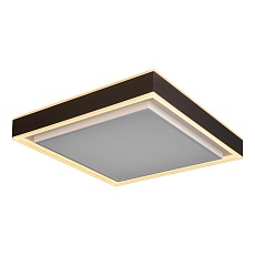 Потолочный светодиодный светильник iLedex Summery B6233-117W/520*520 WH 5