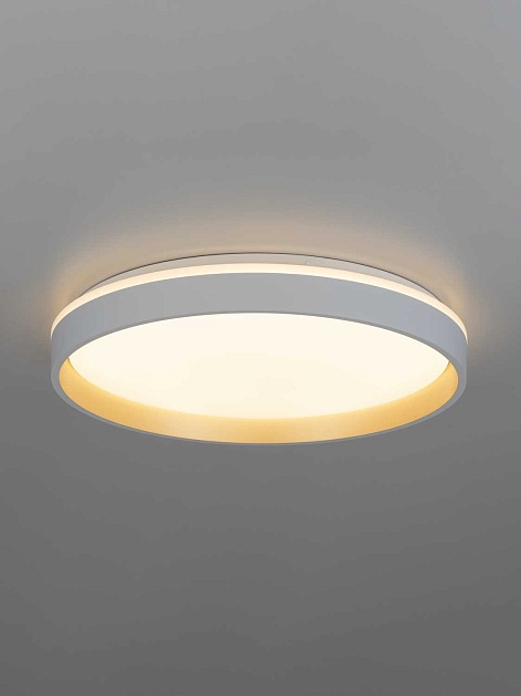 Светильник потолочный Citilux ENZO CL753450G Фото № 6