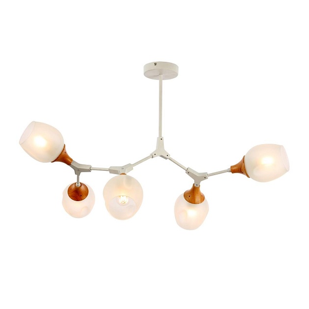 Потолочная люстра Evoluce Ciotolla SLE113502-05 изображение 1 Потолочная люстра Evoluce Ciotolla SLE113502-05 Фото № 1