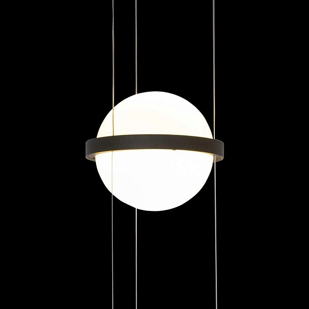 Подвесной светильник LOFT IT Jardin 10121/B Фото № 4