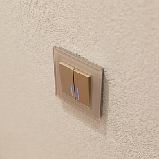 Выключатель двухклавишный с подсветкой Werkel шампань рифленый W1120110 4690389160233 5