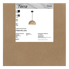 Подвесной светильник Freya Терра / Terra FR5514PL-01B 3