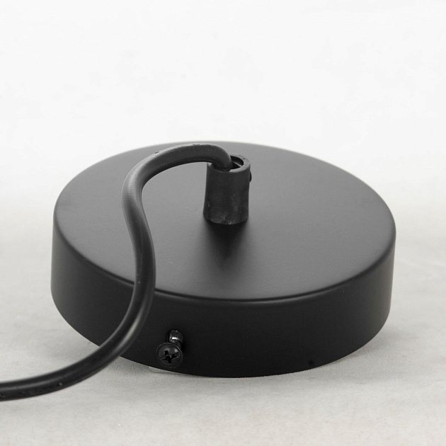 Подвесной светильник Lussole Loft Gilpin LSP-8569 Фото № 5