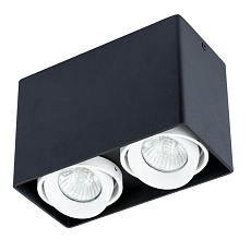 Потолочный светильник Arte Lamp A5655PL-2BK 2
