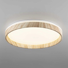 Потолочный светодиодный светильник Citilux Enzo CL753452G 4