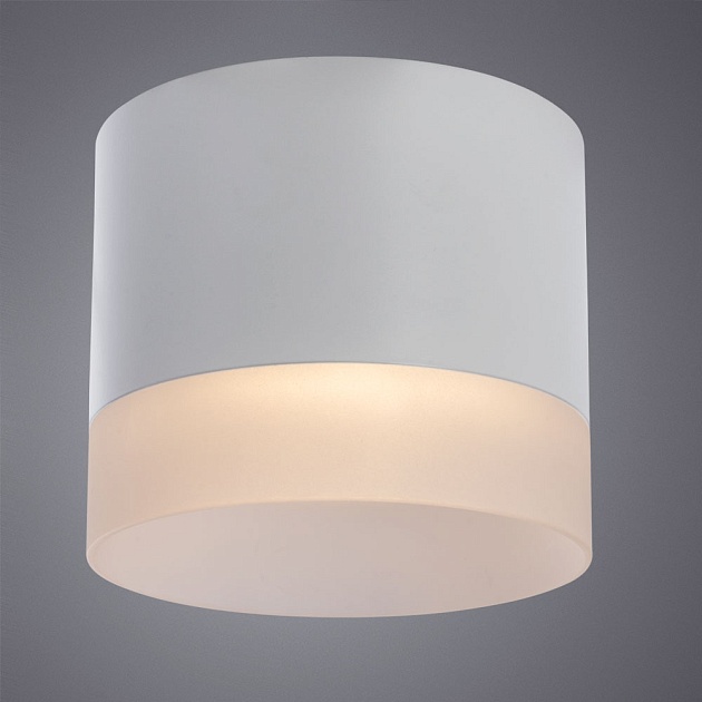 Потолочный светильник Arte Lamp Castor A5554PL-1WH Фото № 3