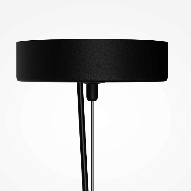 Подвесной светильник Maytoni MOD461PL-L5BK Фото № 4