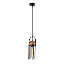 Подвесной светильник Rivoli Anemon 5062-201 Б0047359