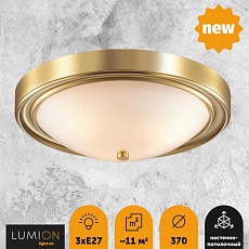 Настенно-потолочный светильник Lumion Vintage Nina 5259/3C 3