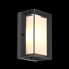 Уличный настенный светодиодный светильник ST Luce Cubista SL077.411.01 1