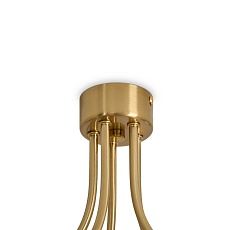 Потолочная люстра Freya Карамель / Caramel FR5522PL-05BS 5
