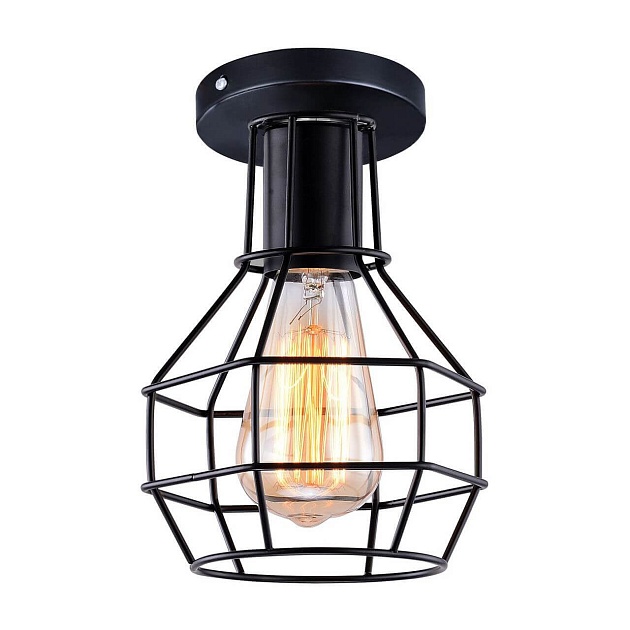 Потолочный светильник Arte Lamp A1109PL-1BK Фото № 1
