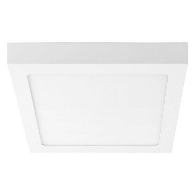 Потолочный светодиодный светильник Lightstar Zocco 324124 Фото № 1