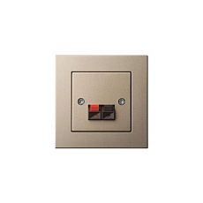 Аудиорозетка Liregus Epsilon шампань 28-324