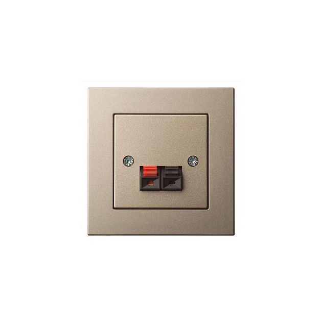 Аудиорозетка Liregus Epsilon шампань 28-324 Фото № 1