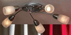 Потолочная люстра Lussole Cevedale LSQ-6907-05 5