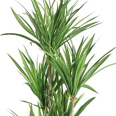 Искусственное растение Eglo YUBETSU 428018 3