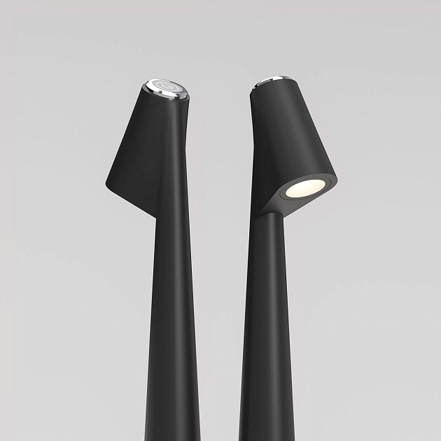 Настольная лампа Elektrostandard Elite TL70250 a068070 изображение 4 Настольная лампа Elektrostandard Elite TL70250 a068070 Фото № 4