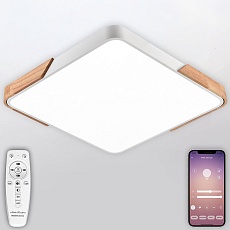 Потолочный светодиодный светильник Natali Kovaltseva LED LAMPS 81411 5