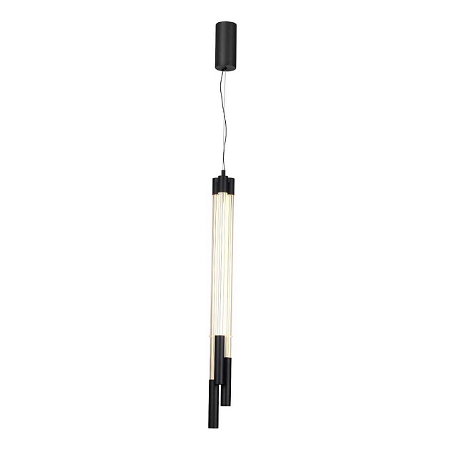 Подвесной светильник Odeon Light ANTA 4393/30L Фото № 2