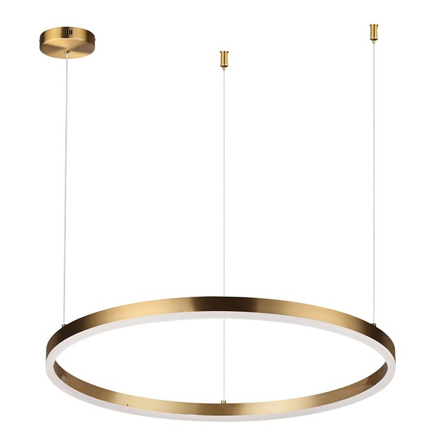 Подвесной светодиодный светильник Lumion Ledio Echo 6531/50L изображение 1 Подвесной светодиодный светильник Lumion Ledio Echo 6531/50L Фото № 1