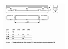 Потолочный светильник IEK ДСП LDSP0-2101-2X060-K01 1