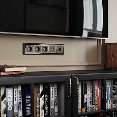 Накладка Werkel для TV розетки оконечной бронзовый W1193012 4690389161810 2