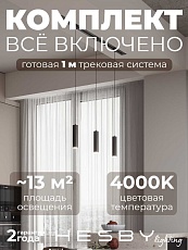 Встраиваемая однофазная трековая система Hesby Lighting Skylite №12 со светильниками HSBL_kompl_S012_VI1B4K